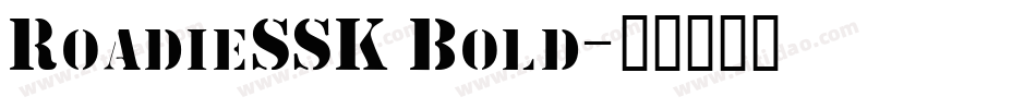 RoadieSSK Bold字体转换